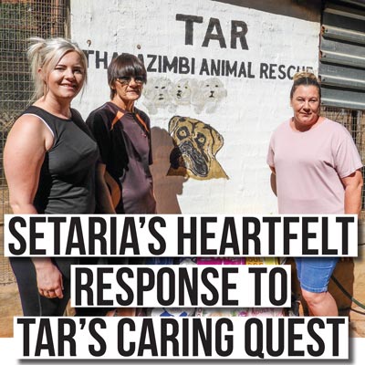 Setaria’s heartfelt response to TAR’s caring quest
