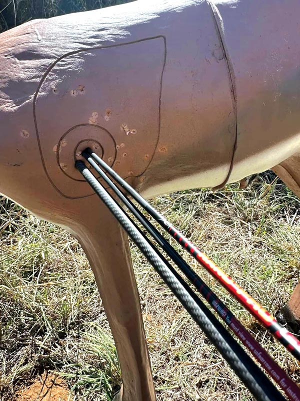 Busy weekend day for archery!