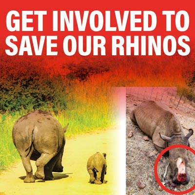 <p>GET INVOLVED TO SAVE OUR RHINOS</p>
