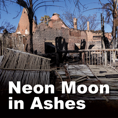<p>Neon Moon in Ashes</p>

