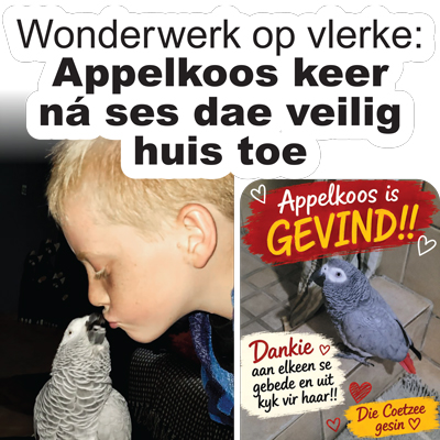 <p>Wonderwerk op vlerke:<br />
Appelkoos keer n&aacute; ses&nbsp;dae veilig huis toe</p>
