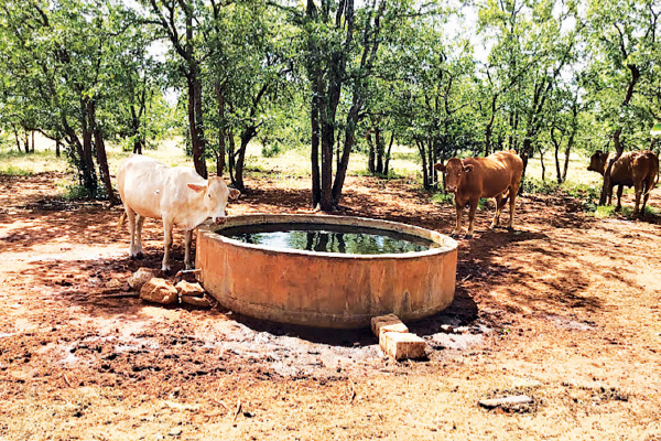 All eyes on Limpopo’s most precious resource: Water