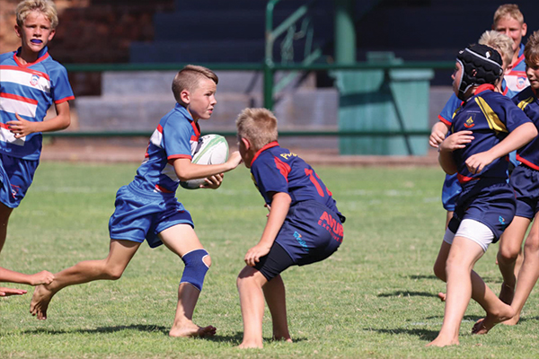 Hardekool rugby en netbal