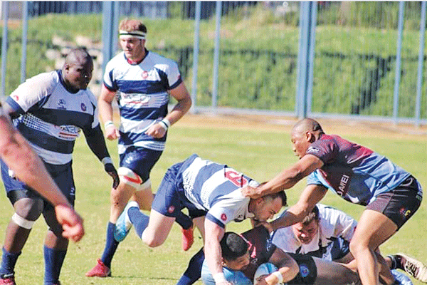 Northam Rhinos vs Harlequins