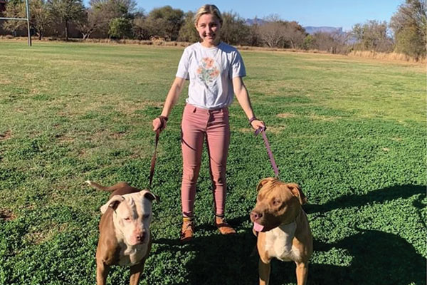 Pit bulls, the fight continues