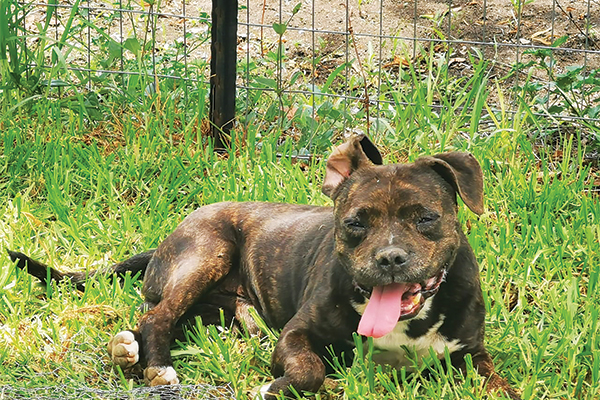 We are up for adoption!