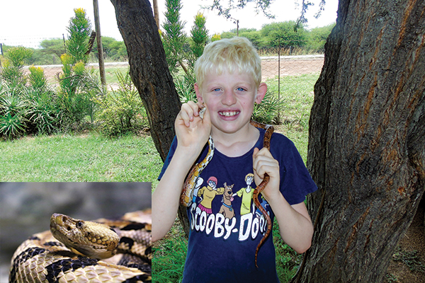Teaching snake safety to kids