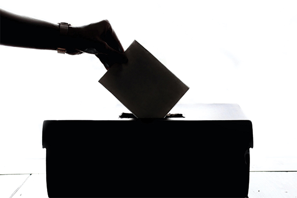 Strict COVID-19 voting regulations