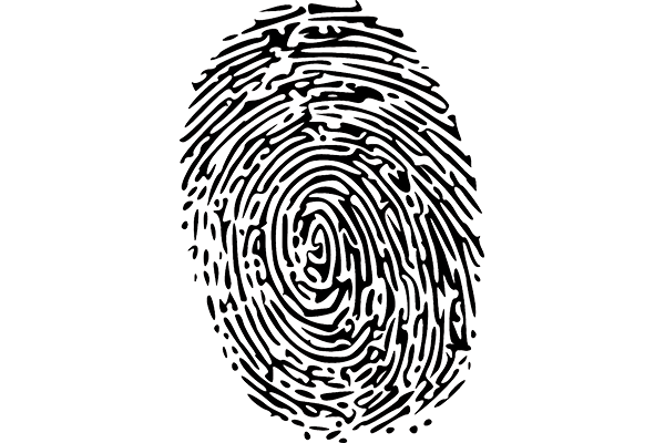 Who am I?
Letter to the editor
