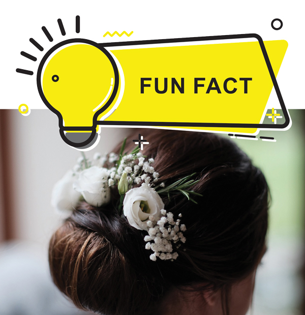 Did you know?
 
