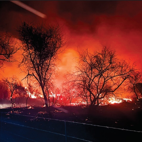 When the wind fed the flames, neighbours joined the fight