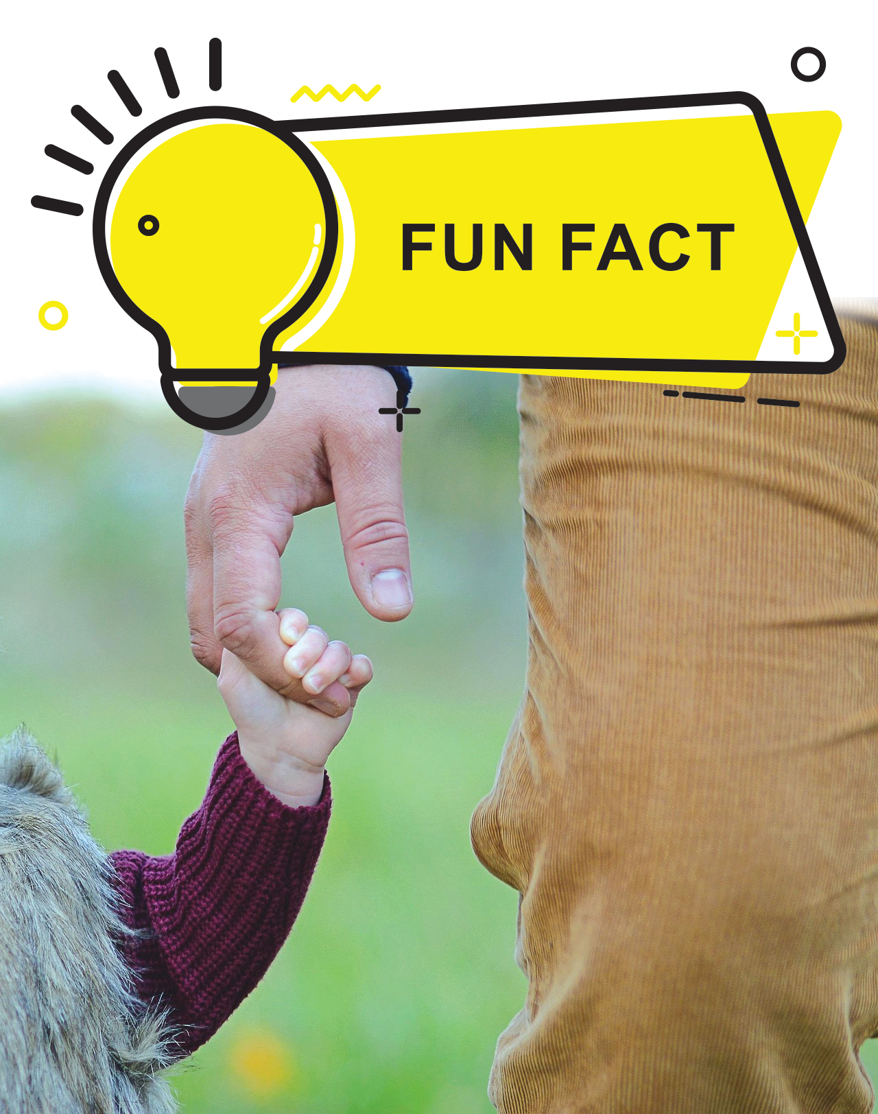 Did you know?
 