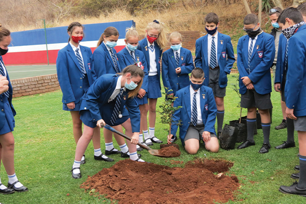 Laerskool Thabazimbi en AfriForum vier boomplant dag