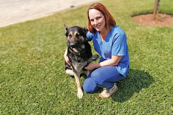 ‘n Regverdige kans vir wees-diere