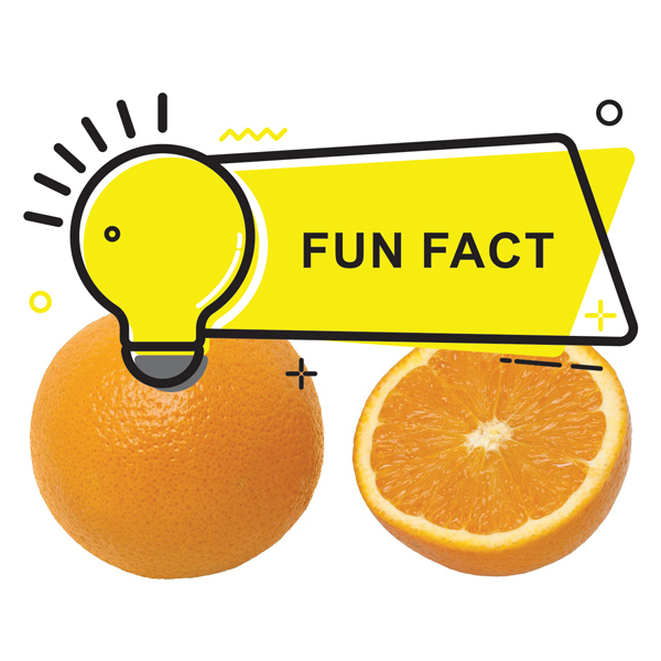 Did you know?