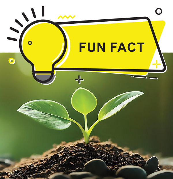 Did you know?