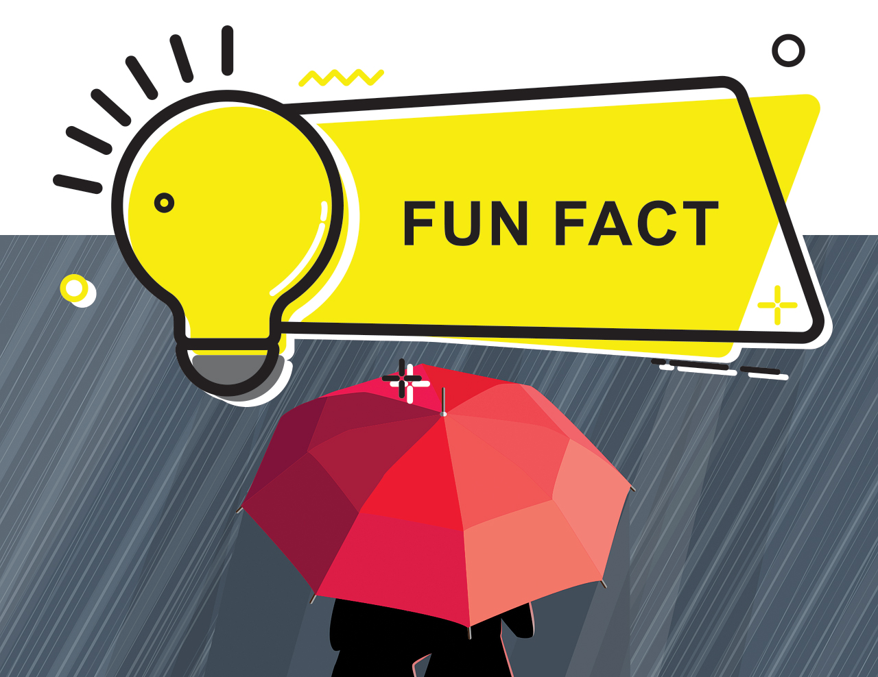 Did you know?
 